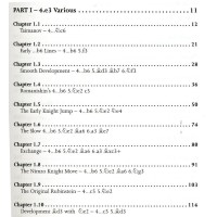 SOKOLOV - The Strategic Nimzo-Indian vol. 1 : a complete guide to the Rubinstein Variation