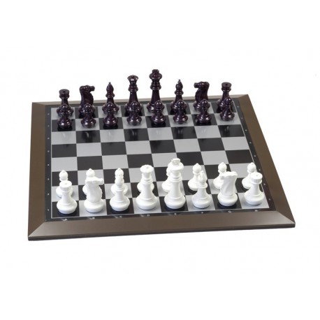Ensemble d'échecs magnétique