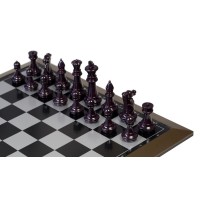 Ensemble d'échecs magnétique