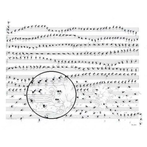 Puzzle 1080 pièces -...