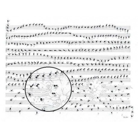 Puzzle 1080 pièces - Musique de Fabio Vettori