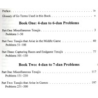 Graded Go Problems for Dan players - Volume 5