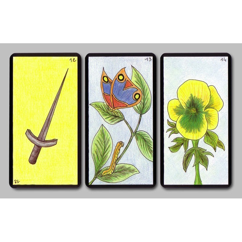 Acheter Oracle Gé Cartes et Tarots Divinatoires Boutique Variantes