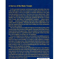 A Survey of the Basic Tesujis (Road Map to Shodan vol.4)