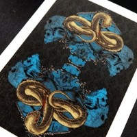 Cartes Bicycle Venom Strike