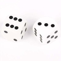 Dés de précision blanc backgammon