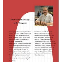 Rozentalis - The Correct Exchange in the Endgame
