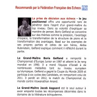 Gelfand - La prise de décision aux échecs - le jeu positionnel