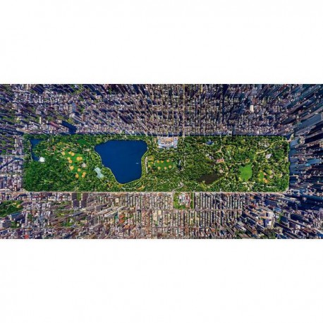 Puzzle 3000 pièces - New York Central Park