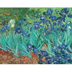 Puzzle 1000 pièces - Les Iris de Van Gogh