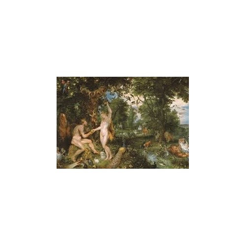 Puzzle 3000 pièces - Jardin...