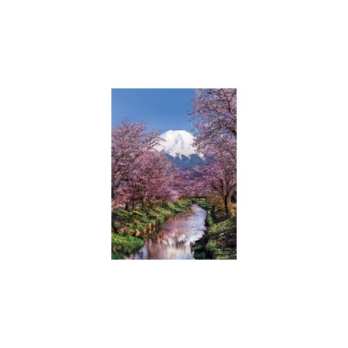 Puzzle 1000 pièces - Mont Fuji et Cerisiers