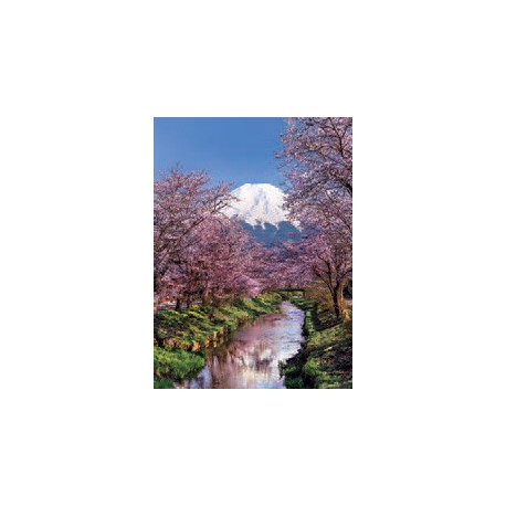 Puzzle 1000 pièces - Mont Fuji et Cerisiers