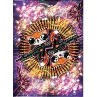 Cartes à jouer Angry Pussies