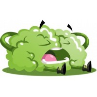 Brain Connect