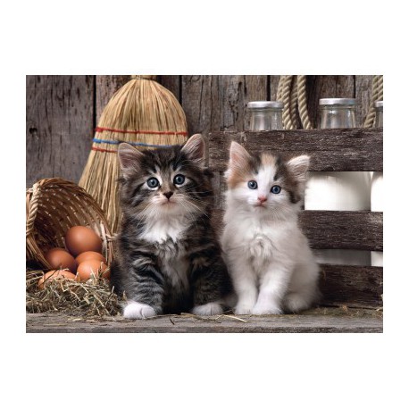 Puzzle 1000 pièces - Lovely kittens