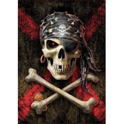 Puzzle 500 pièces - Tête de Mort de Pirate