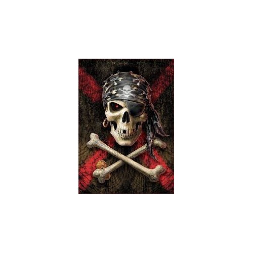 Puzzle 500 pièces - Tête de Mort de Pirate