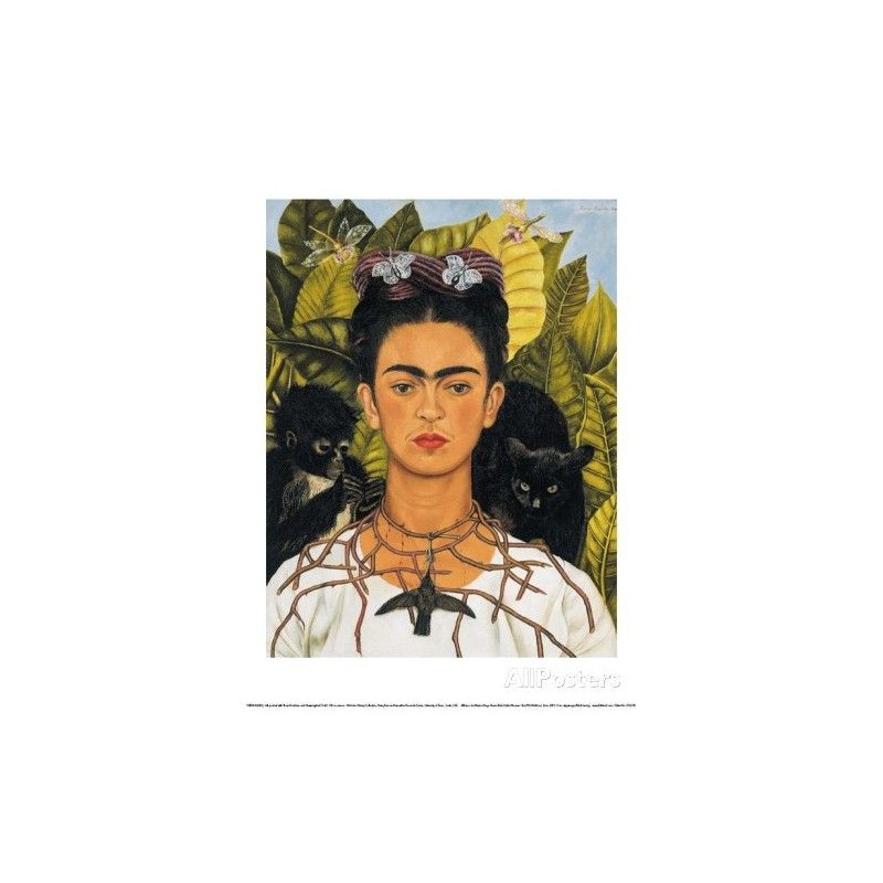 Puzzle 1000 pièces - Chats noirs, Frida Kahlo Puzzle 1000 pièces - Chats noirs, Frida Kahlo