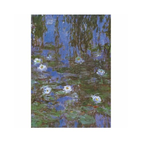 Puzzle 1000 pièces - Nymphéas de Monet