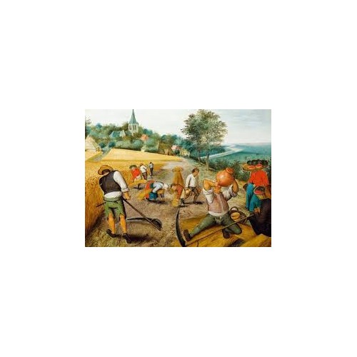 Puzzle 1000 pièces - L'Eté de Pieter Brueghel