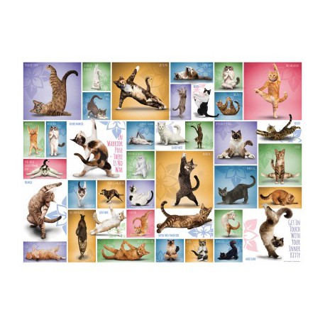 Puzzle 1000 pièces - Yoga Cats