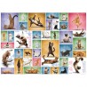 Puzzle 1000 pièces - Yoga Cats