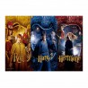 Puzzle 1000 pièces Harry Potter - The Chamber of Secrets
