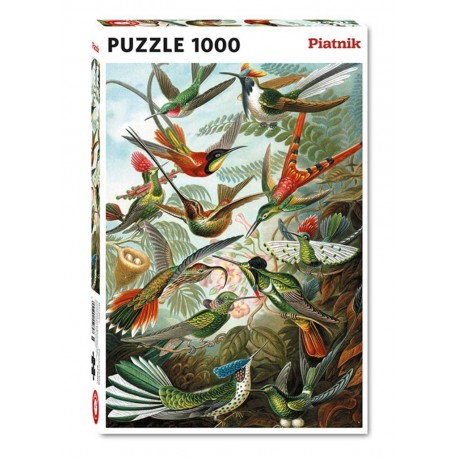 Puzzle 1000 pièces - Colibris