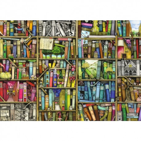 Puzzle 1000 pièces - Bibliothèque Magique