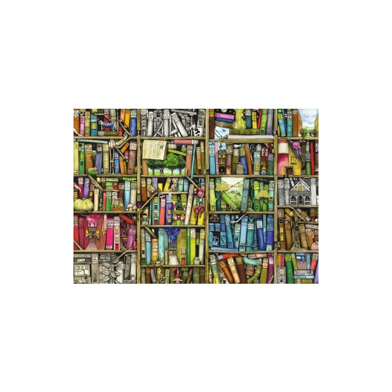 Puzzle 1000 pièces - Bibliothèque Magique