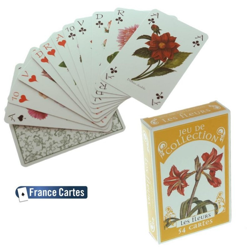 Jeu de carte 54 cartes illustré, Carte à jouer -  France
