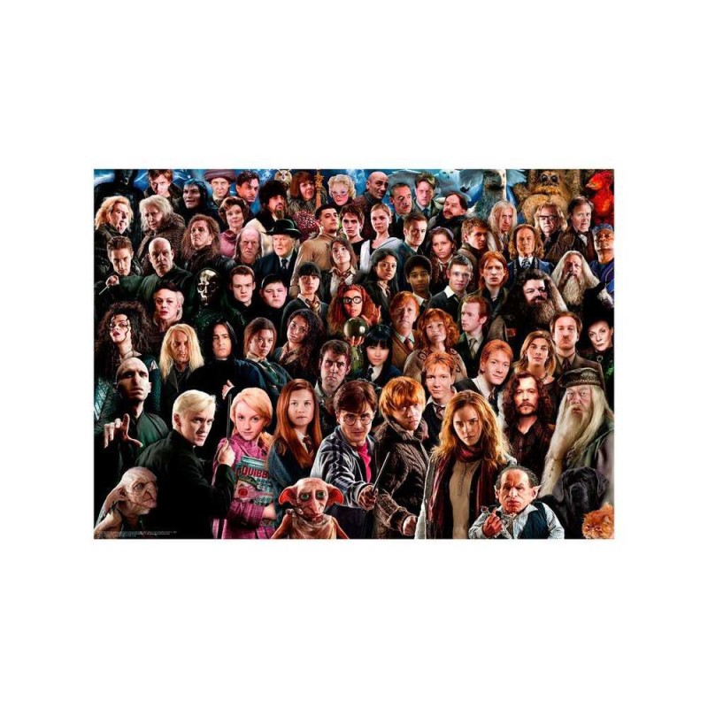 Puzzle 1000 pièces - Harry Potter Challenge Puzzle 1000 pièces - Harry Potter Challenge