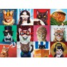 Puzzle 1000 pièces - Funny Cats