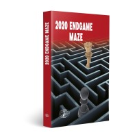 2020 Endgame Maze