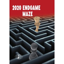 2020 Endgame Maze