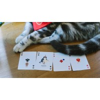 Cartes Meow Star