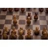 Millennium Chess Classics Element - Exclusive Modul