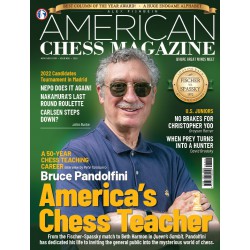 American Chess Magazine n° 28