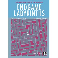 Nielsen & Aagaard - Endgame Labyrinths