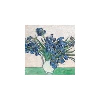 Puzzle en Bois 30 Pièces - Cuzzle Iris, Van Gogh