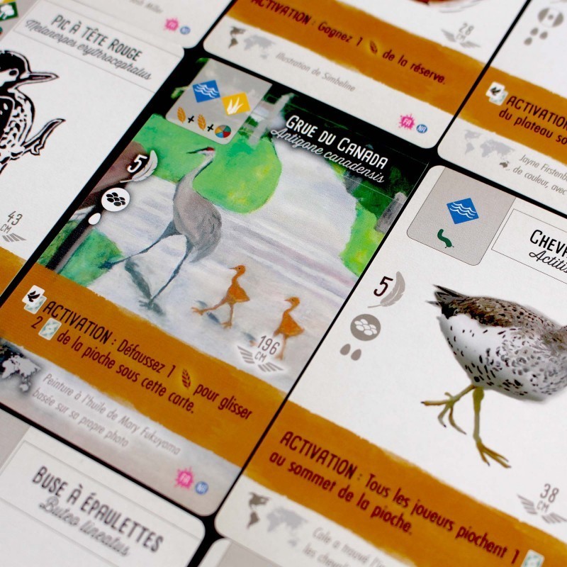 Wingspan Pack Fan Art - Jeu de Société - Boutique Variantes Paris