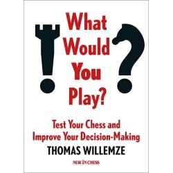 Willemze - What Would You Play ?