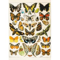 Puzzle 1000 pièces - Millot - Papillons