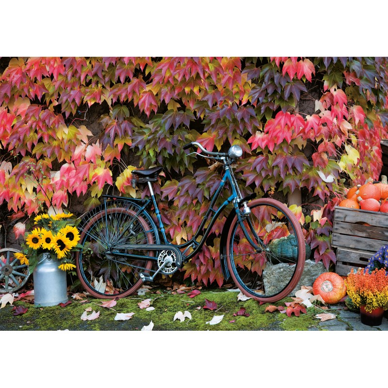 Puzzle 1000 pices - Automne Puzzle 1000 pices - Automne