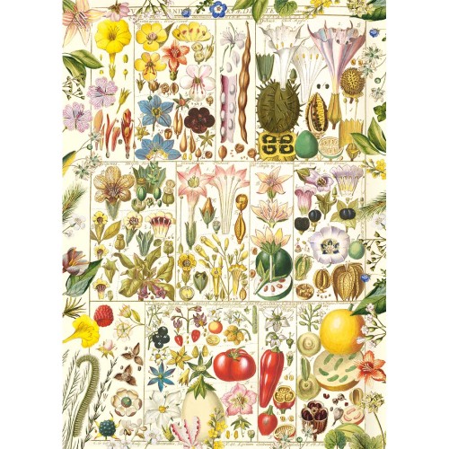 Puzzle 1000 pièces -...
