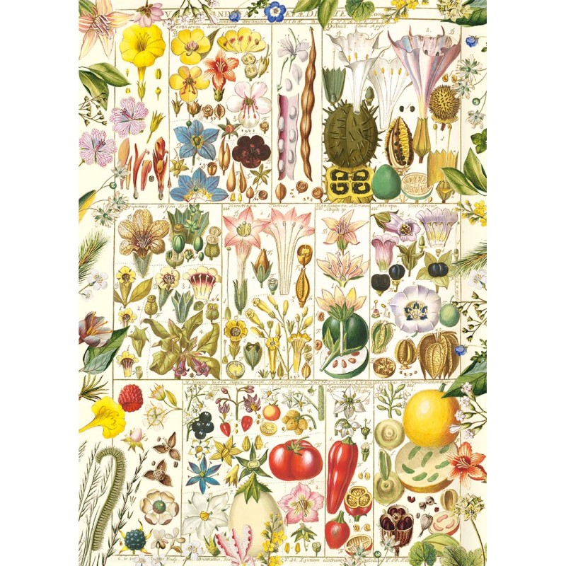 Gibsons Puzzle 1000 Pezzi: La Vie Du Lotissement - Illustrazione Di Janice Daughters, Cartone Riciclato