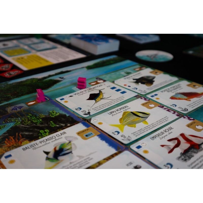 Finspan - Jeu de Société - Boutique Variantes Paris - Matagot