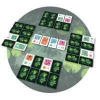 Symbiose