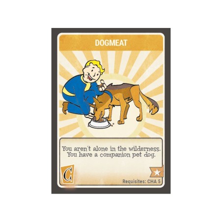 Fallout Cartes RPG Jeu de Rôle (Anglais)